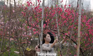Thủ tướng đồng ý nghỉ 9 ngày Tết Nguyên đán Bính Ngọ 
