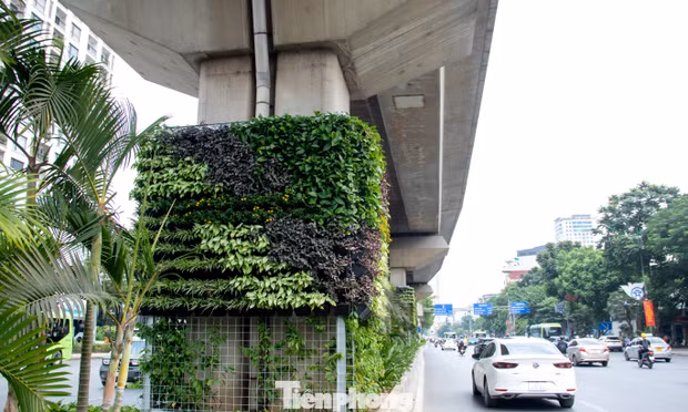 Trụ đường sắt, hầm chui Hà Nội 'lột xác' sau khi phủ cây xanh