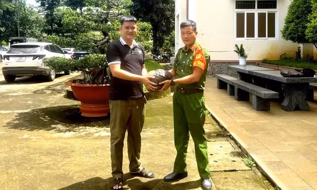 Tê tê quý hiếm 'đi lạc' ra đường ở Đồng Nai 