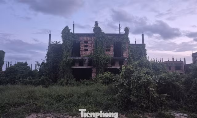 Đồng Nai cảnh báo tình trạng đầu cơ, làm giá nhà đất đón quy hoạch