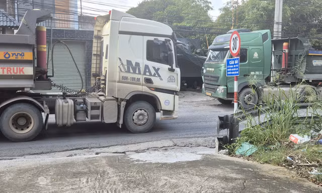 Xe tải ùn ùn cày xới, bất chấp lệnh cấm trên con đường ở trung tâm Đồng Nai