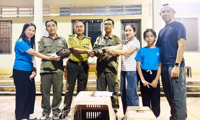 Hai hộ dân giao nộp cá thể động vật rừng quý hiếm