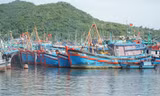 Tàu cá neo đậu tại cảng Hòn Rớ.