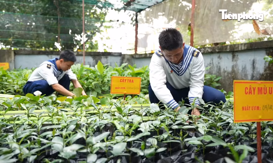 Lính trẻ vun đắp màu xanh giữa Trường Sa