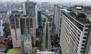 Bất động sản cho thuê hiện ra sao? 