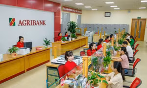 Ngân hàng rao bán nợ của doanh nghiệp từng mang tên Nghệ sĩ Quyền Linh