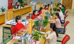 Nền kinh tế Việt Nam đang phụ thuộc nguồn vốn nào? 