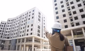 Tín dụng nhà ở xã hội tăng, vì sao giải ngân gặp khó? 