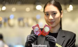 Giá vàng tiếp đà giảm