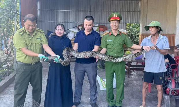 Người phụ nữ mang con trăn dài 2m giao nộp công an