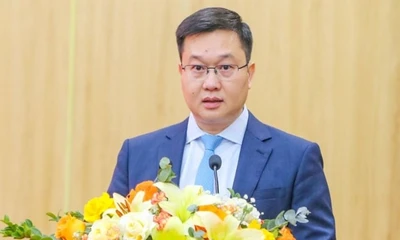 Thiếu tướng Trần Đăng Quỳnh, Trợ lý Tổng Bí thư làm Phó Bí thư Tỉnh uỷ Ninh Bình