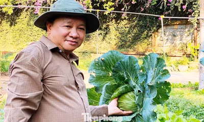 Nguyên Chủ tịch Hiệp hội Du lịch Đắk Lắk tố bị bôi nhọ danh dự