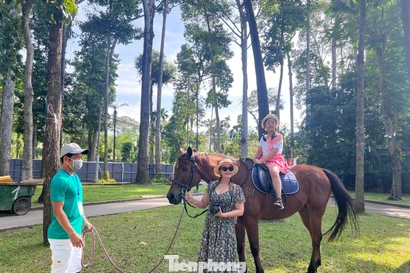 Du khách xếp hàng cưỡi 'tuấn mã'