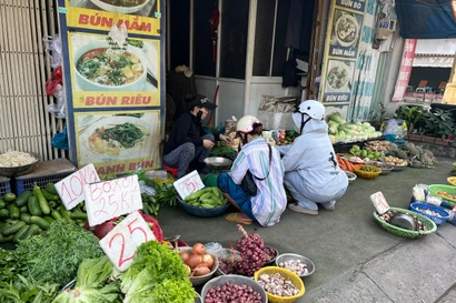 Hàng loạt rau củ bất ngờ chỉ còn 10.000 đồng/kg