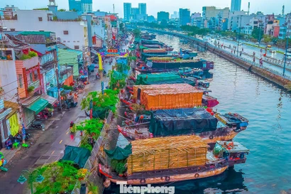 TPHCM có những chợ hoa, đường hoa nào dịp Tết Bính Ngọ 2026?