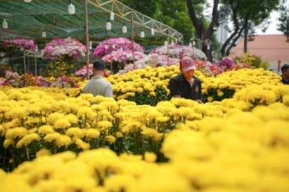 Hoa cười, người khóc ngày 28 Tết