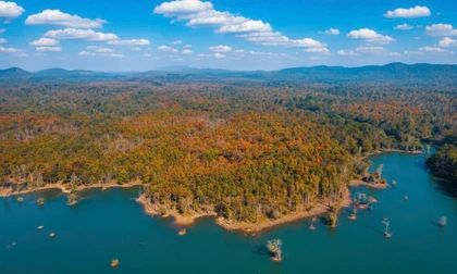 Cánh rừng khộp, Vườn Quốc gia Yok Đôn.