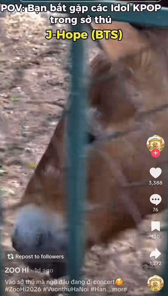 zoo-hi.jpg