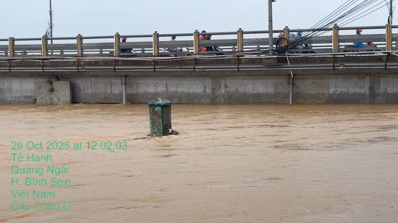 quang-ngai-khan-cap-cam-cau-chau-o-vi-nuoc-lu-dang-cham-dam-cau-2.jpg