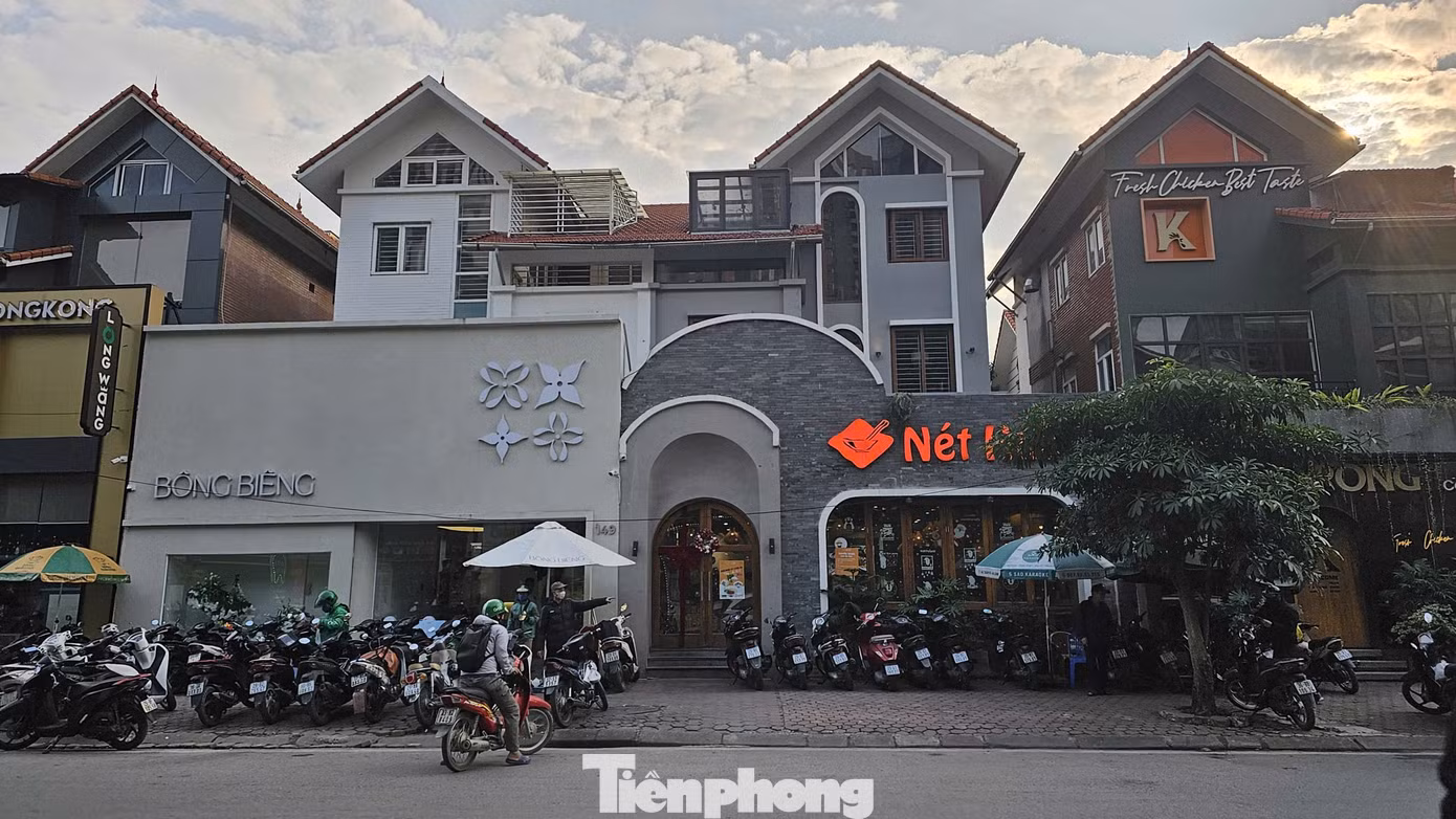 tp-lang-viet-kieu-mo-lao-meo-mo-vi-coi-noi-2.jpg