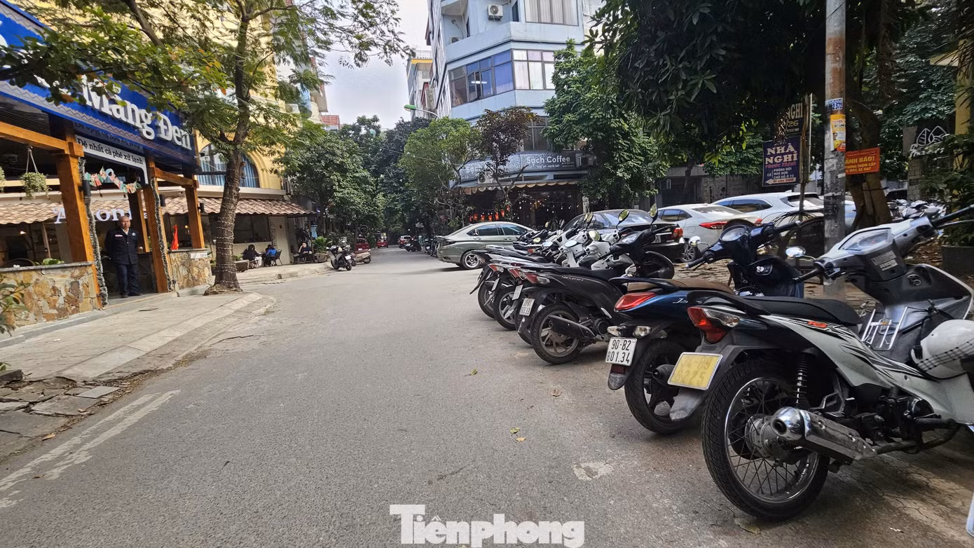 tp-lang-viet-kieu-mo-lao-meo-mo-vi-coi-noi-5.jpg
