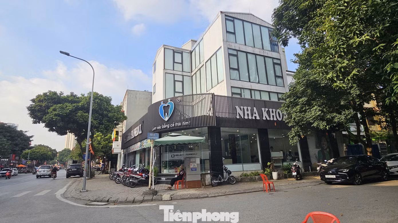 tp-lang-viet-kieu-mo-lao-meo-mo-vi-coi-noi-8.jpg