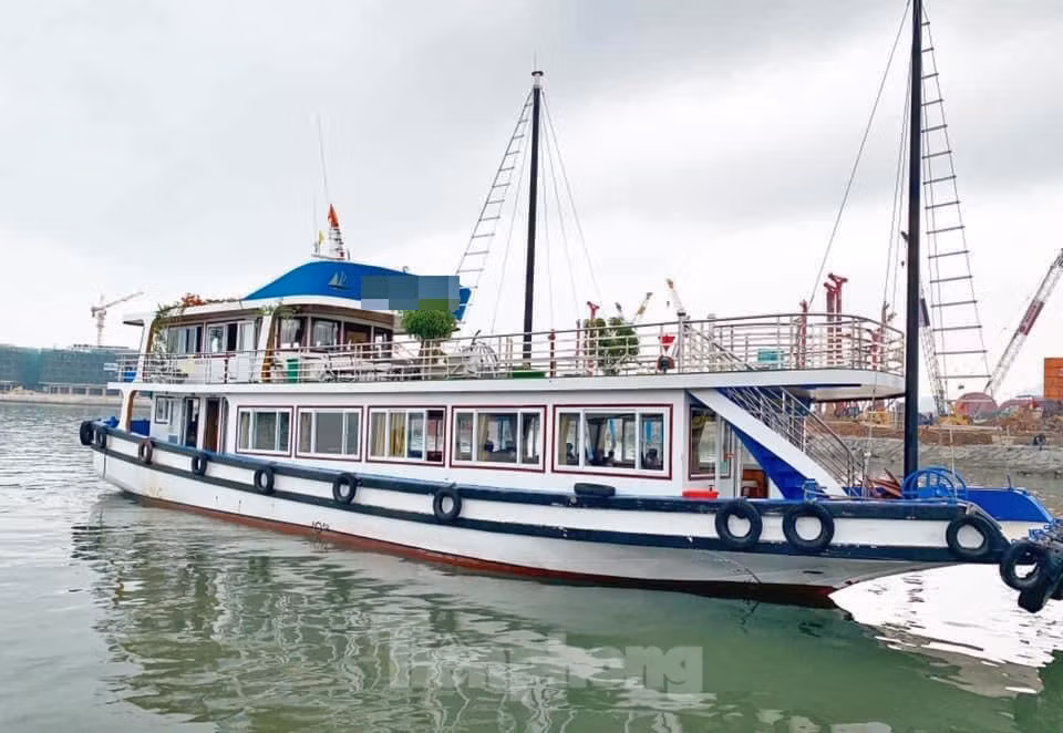 vi-sao-cac-tour-tham-vinh-ha-long-bang-tau-48-khach-thuong-dong-duc-hon-sdgs-6040.jpg
