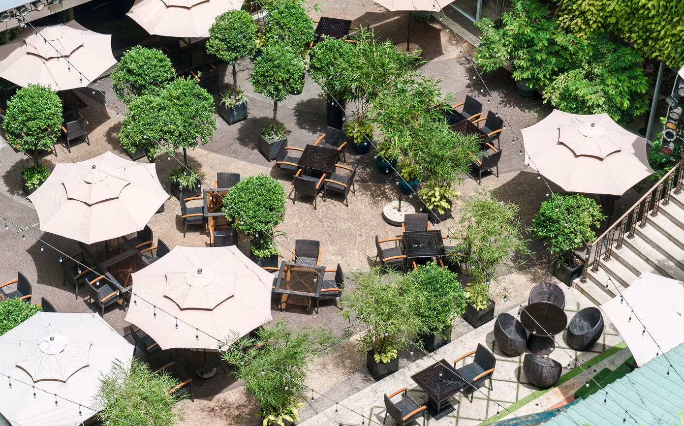 vertical-garden-3.jpg