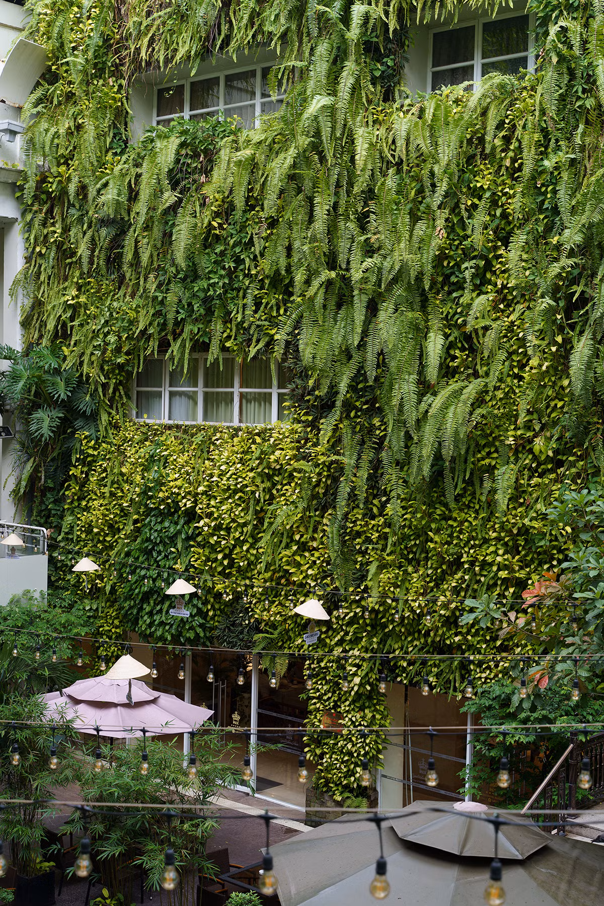 vertical-garden-1.png