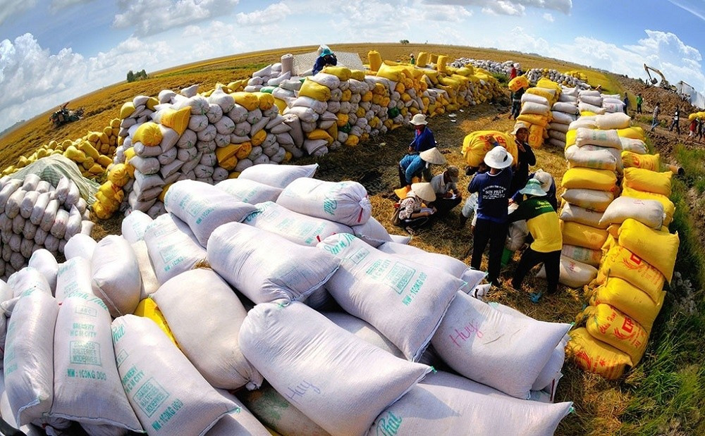 rice-export-price-170546009470494973212.jpg