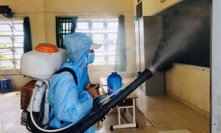 TPHCM: Dịch sốt xuất huyết 'tấn công' trường học