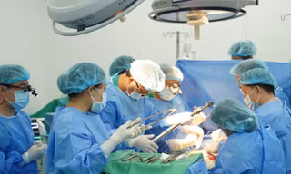 Kỳ tích: 3 ngày, 2 người hiến tạng, 12 cuộc đời hồi sinh