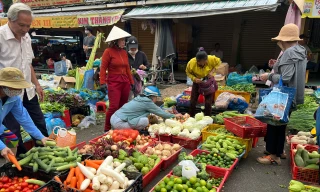 Lý do nguồn cung khá ổn định nhưng giá rau tăng chóng mặt ở TPHCM