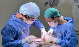 Tưởng con bị căng thẳng học tập, cha mẹ bàng hoàng khi nam sinh mắc bệnh nguy hiểm