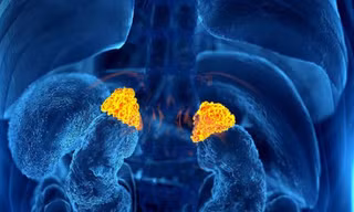 Cảnh báo hiểm họa từ loại thuốc 'uống vào là đỡ' khi đau nhức