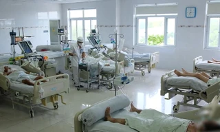 Rắn độc liên tiếp tấn công người, bác sĩ cảnh báo hiểm họa rình rập mùa mưa