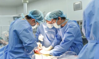 Bản đồ ghép tạng Việt Nam có thêm ‘trạm trung chuyển sự sống’ ở phía Nam