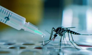 Thử nghiệm vắc xin phòng sốt xuất huyết mới, kỳ vọng chặn đứng dịch bệnh