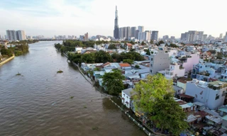 TPHCM 'trảm’ nhà thầu chậm tiến độ, muốn hoán cải xe xăng sang dùng điện