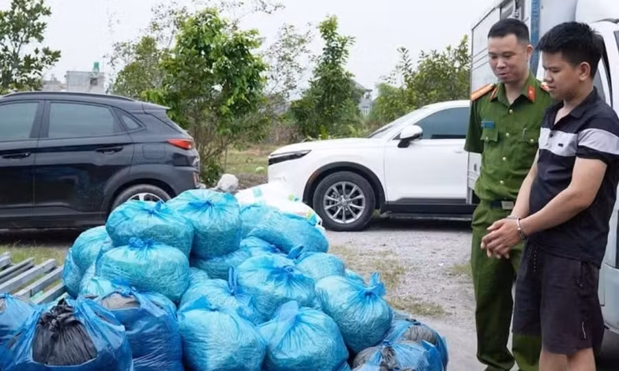 Quảng Ninh: Liên tiếp phát hiện 12 tấn giá đỗ nghi chứa chất cấm