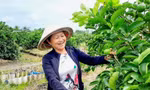 Những người giữ đất để nông sản Việt vươn xa