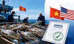 Tin vui với ghẹ Việt Nam xuất Mỹ