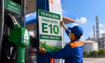 Xăng E10 bán toàn quốc: Doanh nghiệp chỉ ra điểm nghẽn lớn