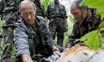 Tổng thống Nga Putin tặng bốn con hổ cho nước láng giềng