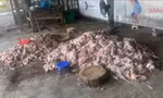 Phát hiện thịt lợn bốc mùi hôi thối sắp 'tuồn' ra thị trường 
