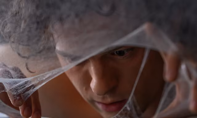 Người Nhện trở lại mặt đất