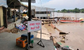 Liên tiếp sạt lở, Cà Mau ứng phó khẩn