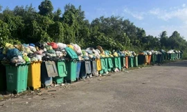 Lập bãi rác trái phép trong phạm vi đê biển Tây ở Cà Mau