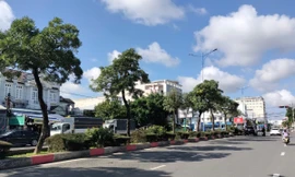 Công an Cà Mau rà soát toàn bộ các dự án có sử dụng cây xanh từ năm 2021 đến nay