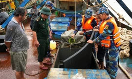 Cà Mau bắt 2 tàu cá chở gần 90.000 lít dầu trái phép